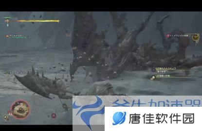 《怪物猎人：荒野》后续更新曝光，狂化怪物新内容抢先看！