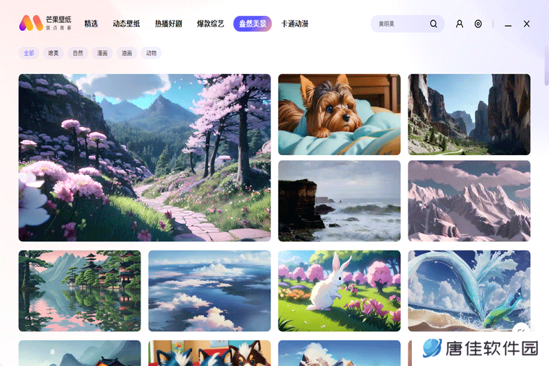 芒果壁纸标准版