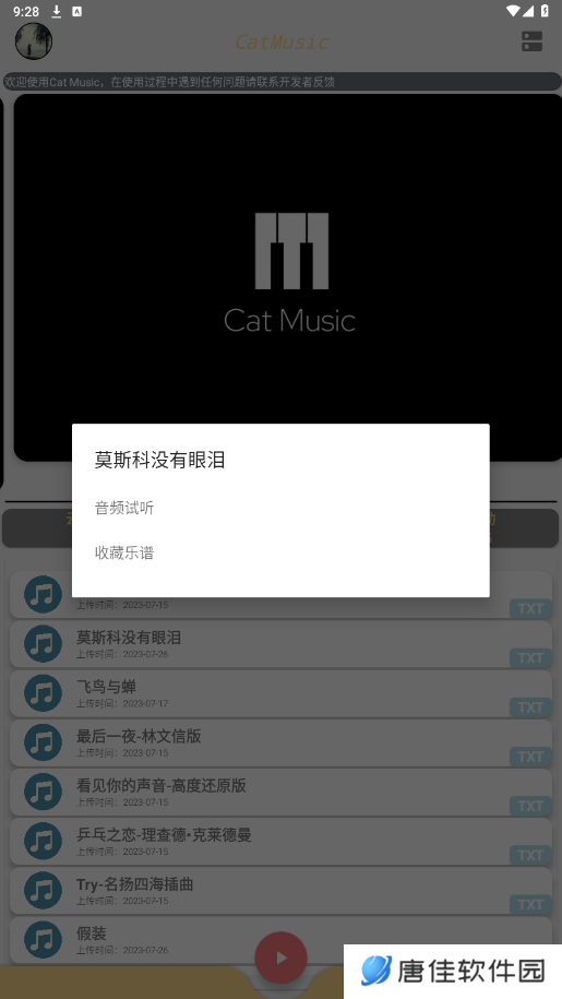 Cat Music