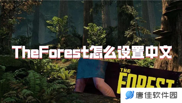 theforest如何设置中文-theforest设置中文方法