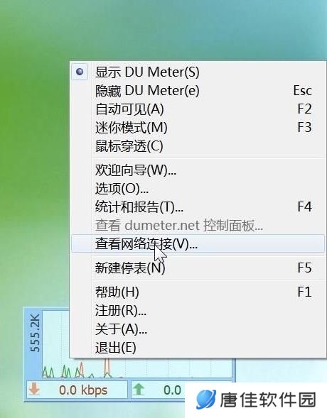 DU Meter网络流量监视器纯净版