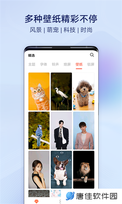 vivo主题商店