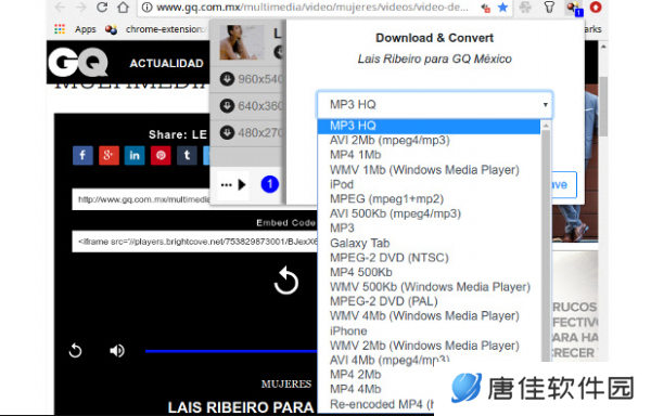 Video DownloadHelper桌面版