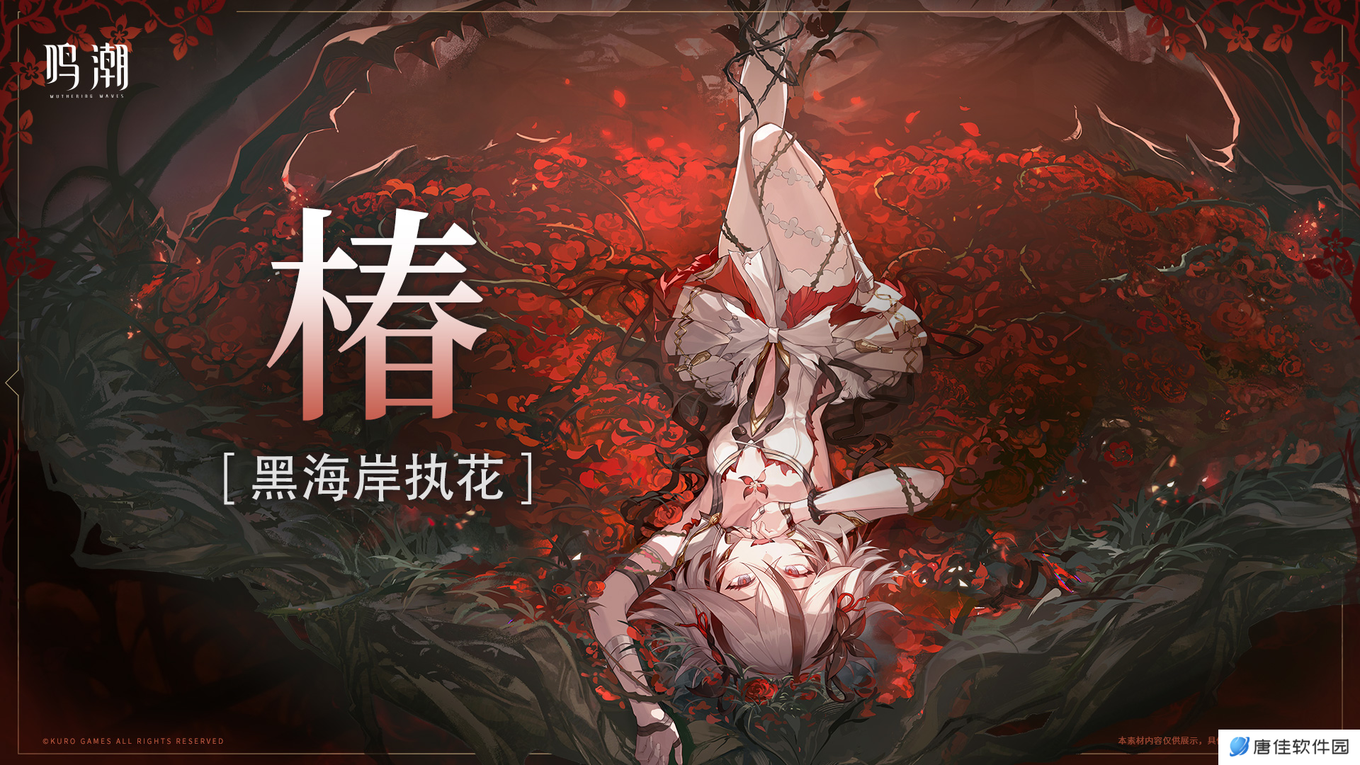 鸣潮椿培养攻略