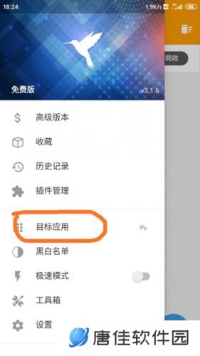 小黄鸟抓包