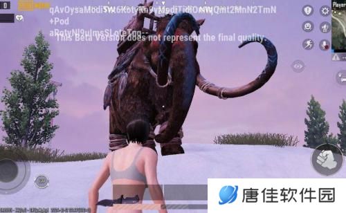 pubg国际服