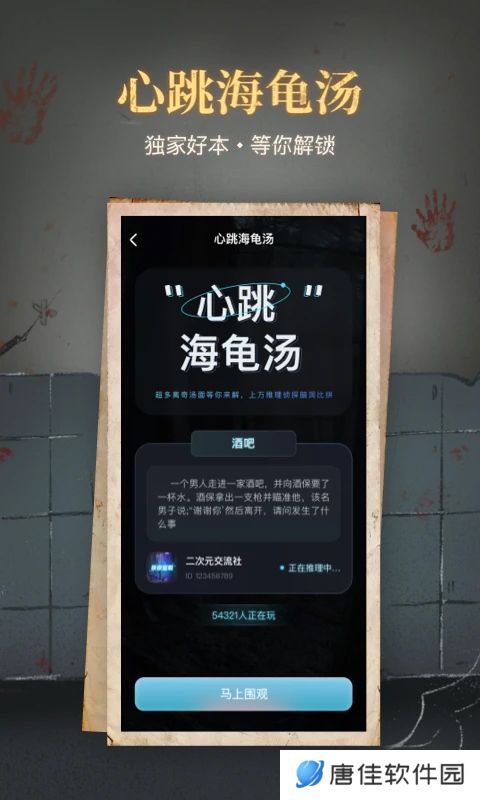 心跳海龟汤