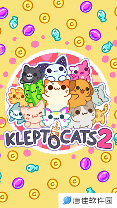 小偷猫2