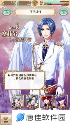 梦王子