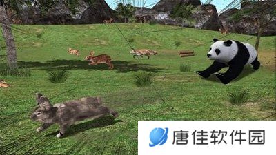 熊猫模拟器