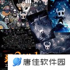 空洞骑士港服