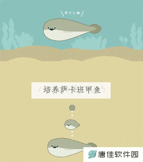 萨卡班甲鱼免广告版